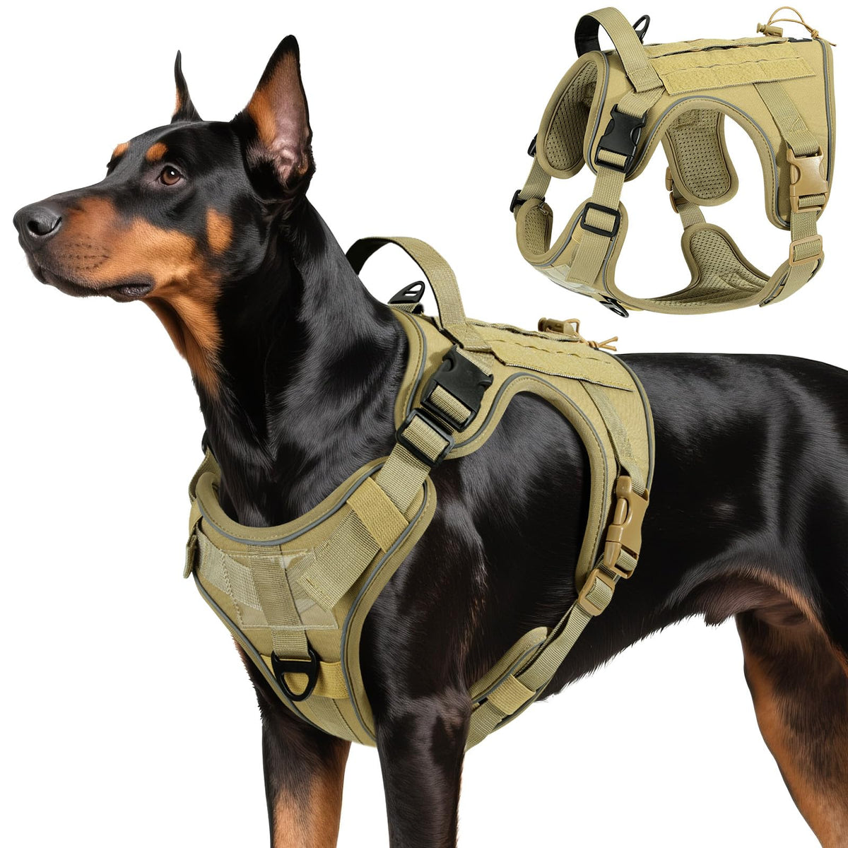 VavoPaw heavy-duty harness for large dogs with front D-ring for no-pull control.
