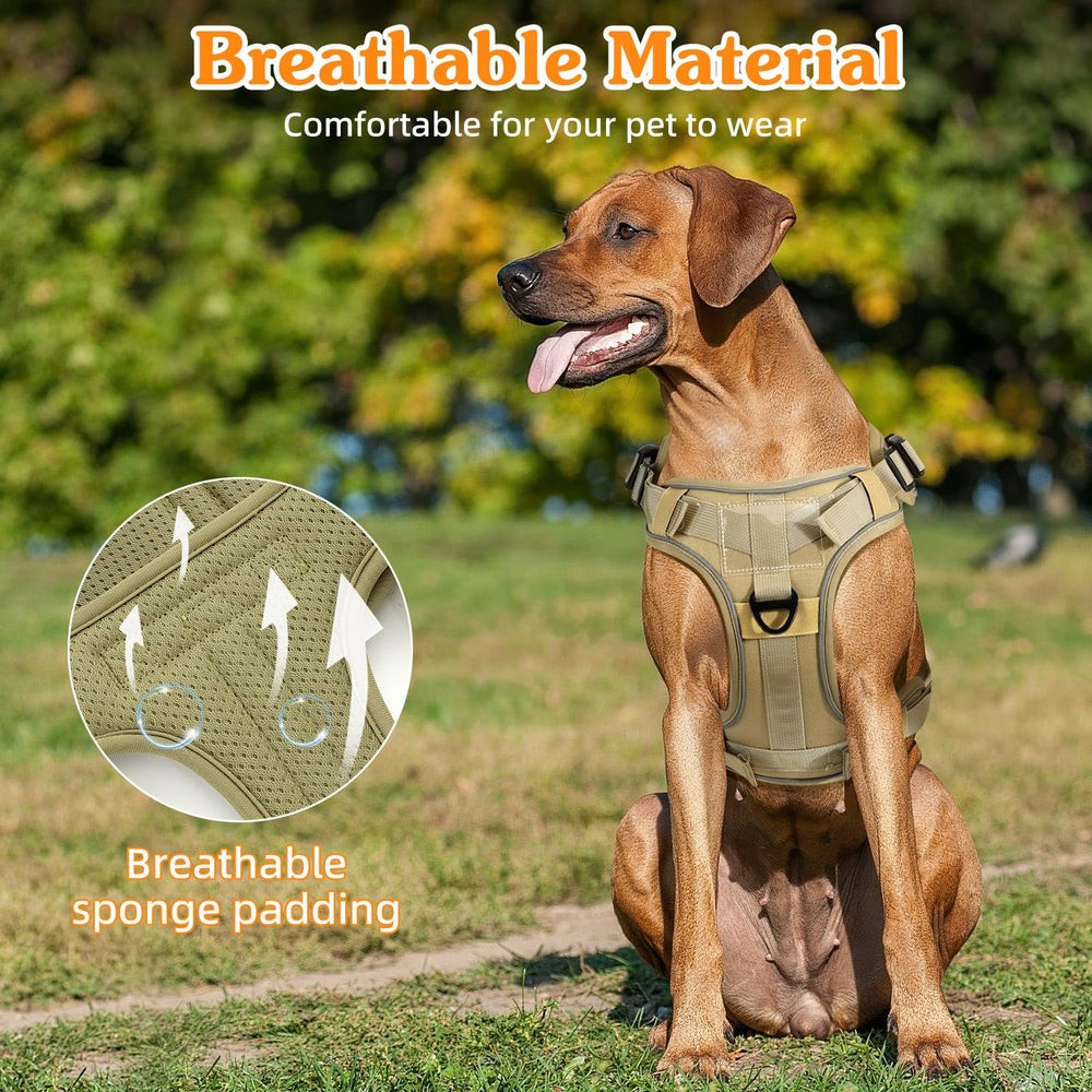 VavoPaw tactical harness with MOLLE panel for carrying gear outdoors.
