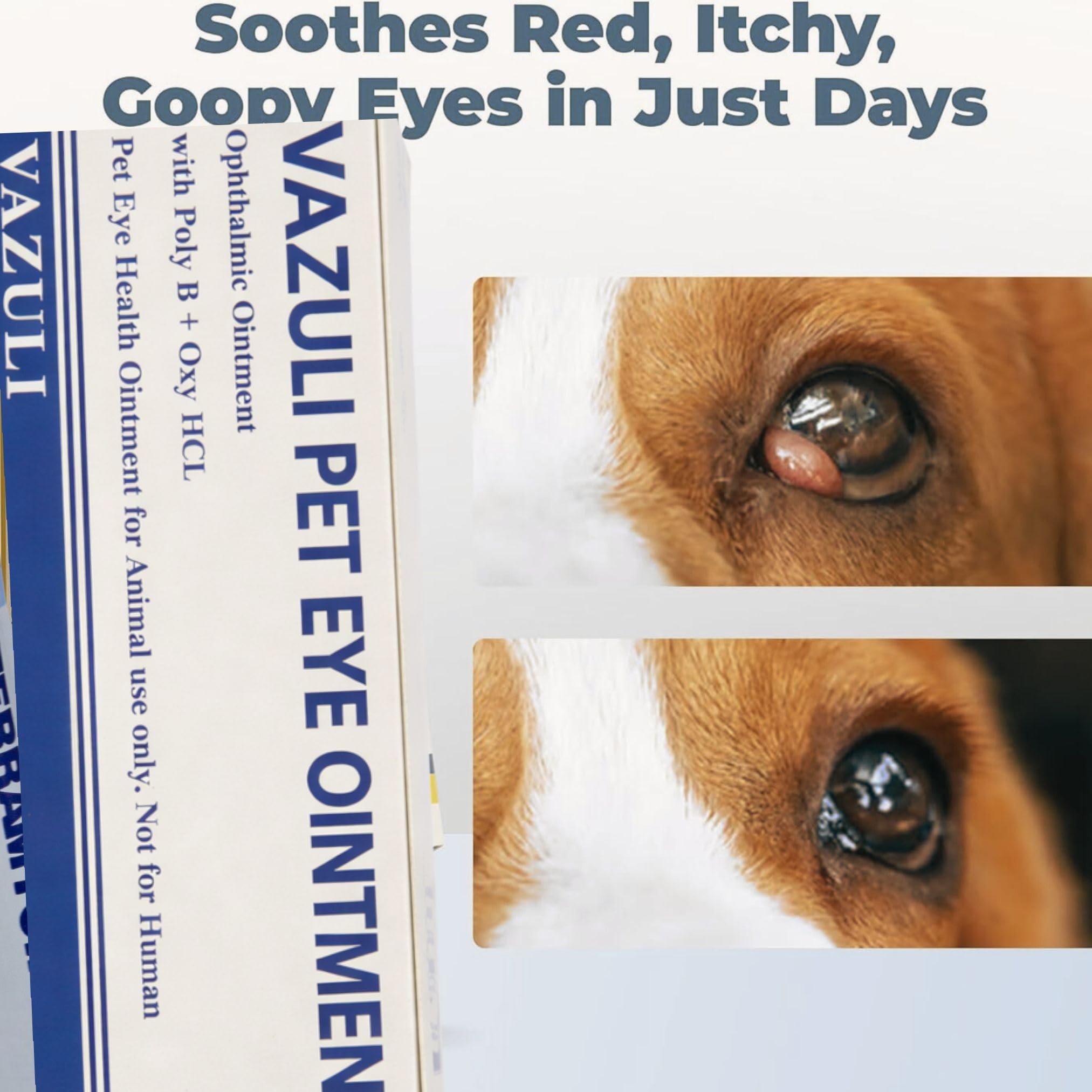 VAZULI Eye Cream application cat, convenient routine for pet eye area.
