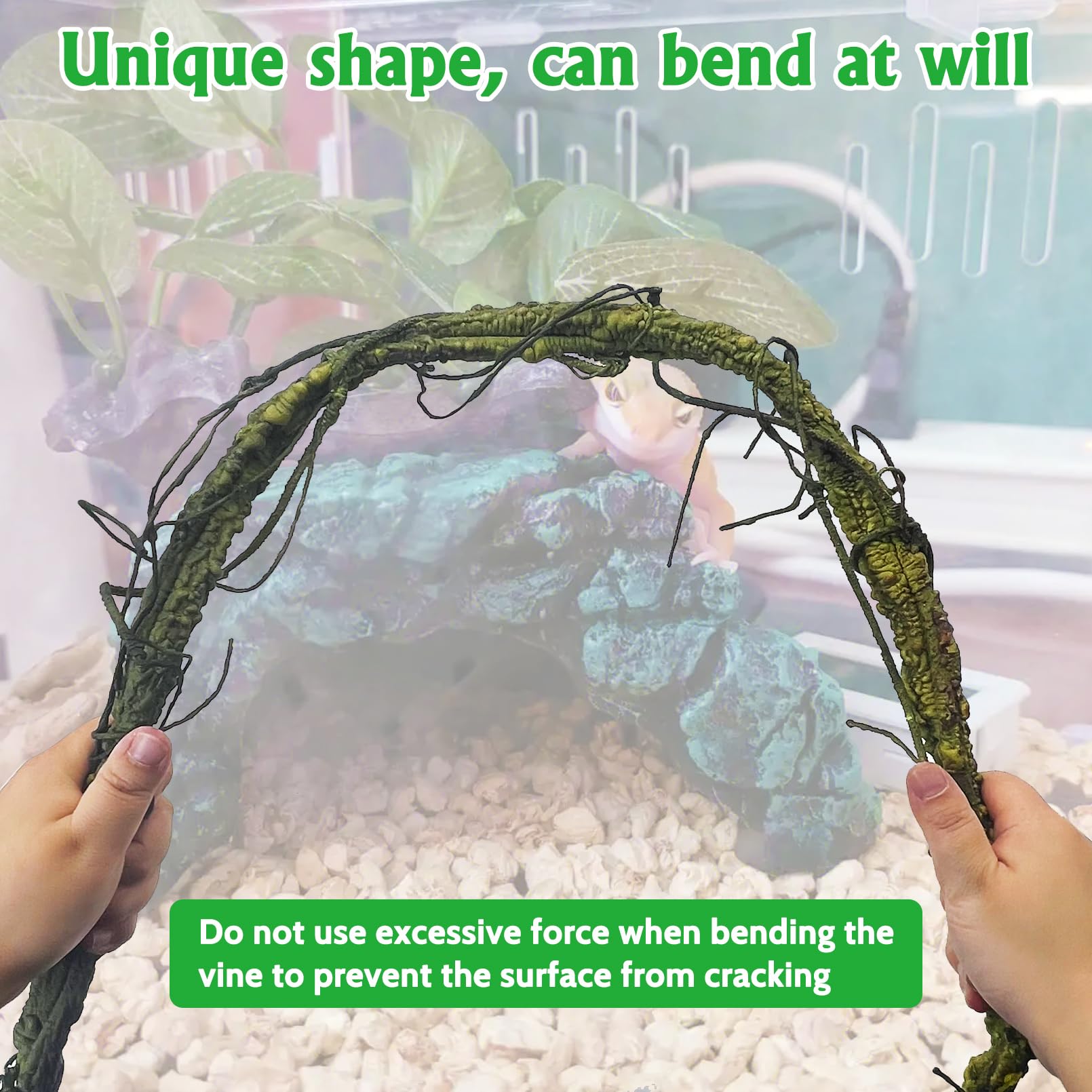 VCEPJH bearded dragon terrarium setup using vines for climbing