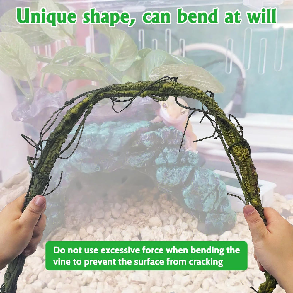 VCEPJH bearded dragon terrarium setup using vines for climbing