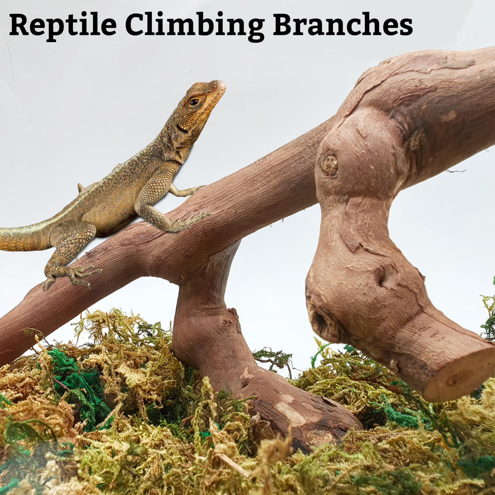 VCEPJH decorative tree trunk for reptile habitat setup adds natural ambiance.