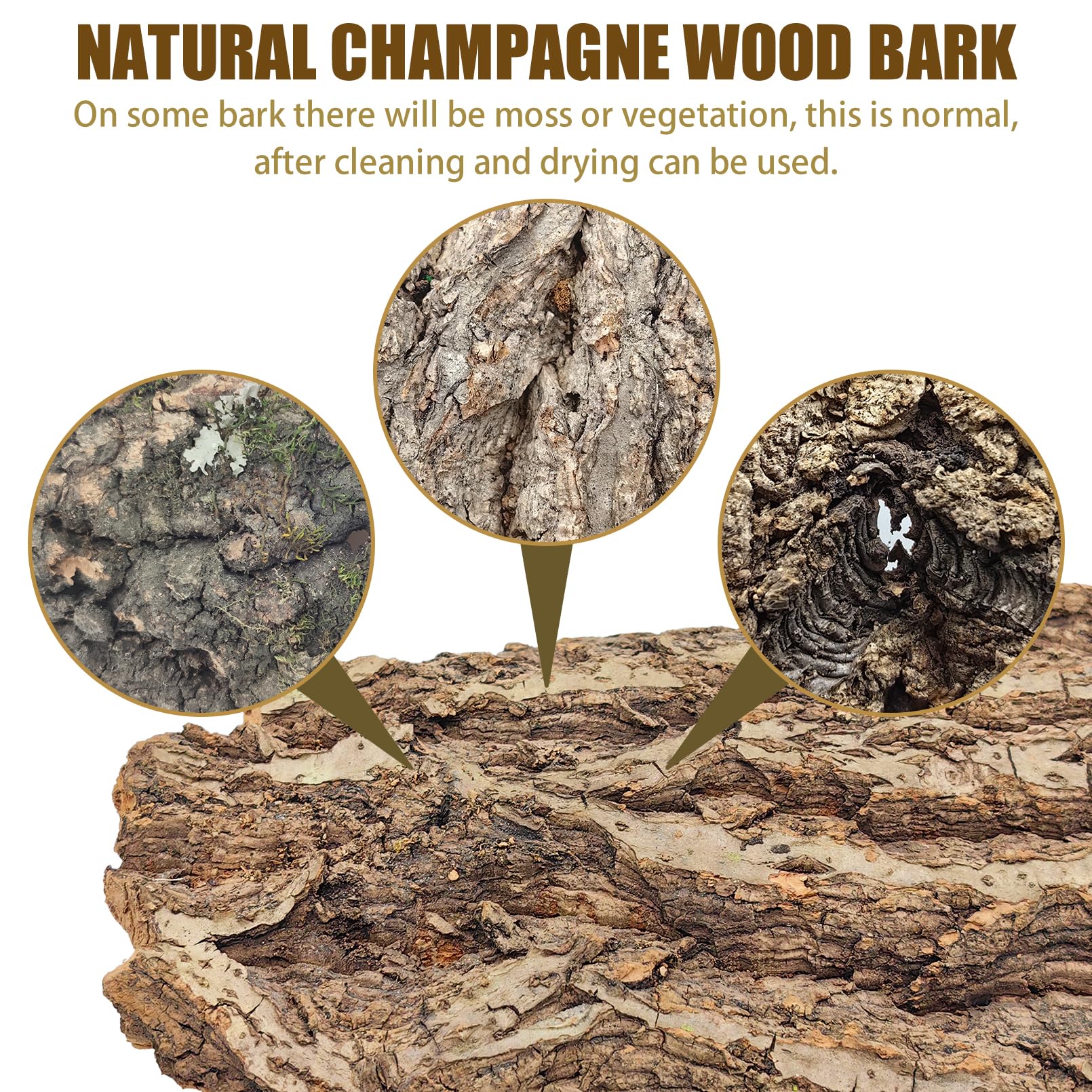 VCEPJH cork bark in terrarium demonstrates fragrance and authentic look.