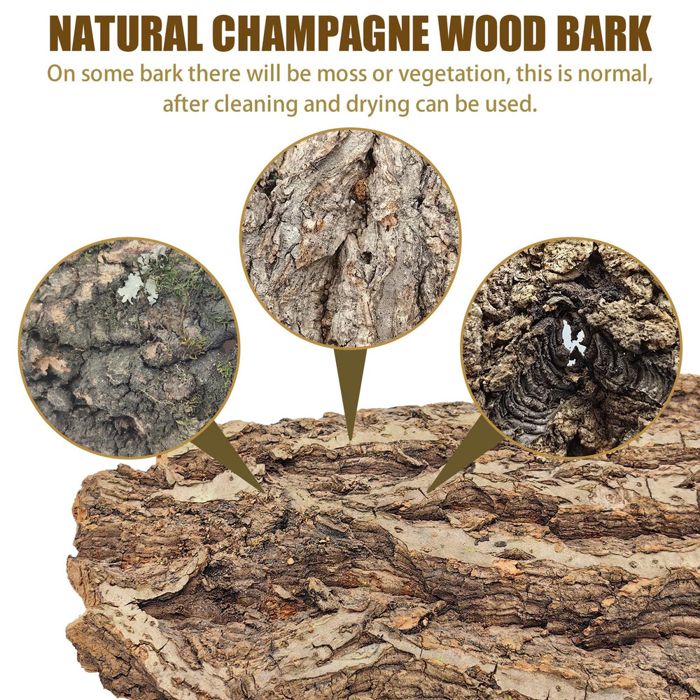 VCEPJH cork bark in terrarium demonstrates fragrance and authentic look.