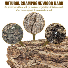VCEPJH cork bark in terrarium demonstrates fragrance and authentic look.