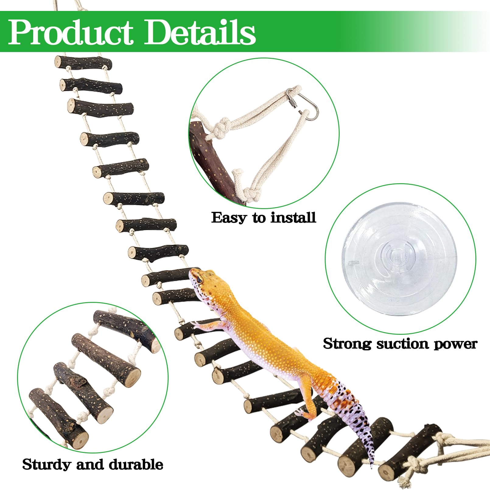 VCEPJH Multi reptile compatible bridge suits dragons geckos and snakes