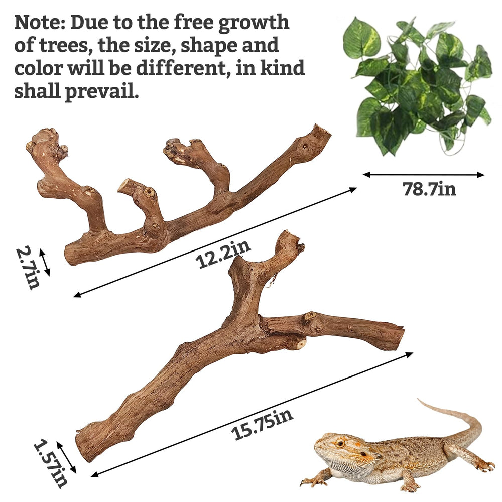 VCEPJH natural grape wood branch for safe climbing and exercise in terrariums.