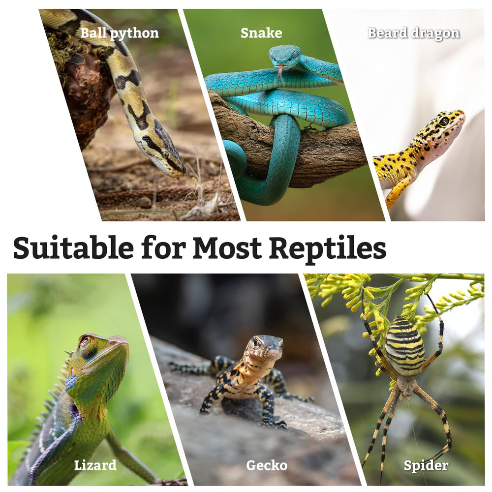 VCEPJH natural terrarium branch decoration enhances habitat realism and visual appeal.