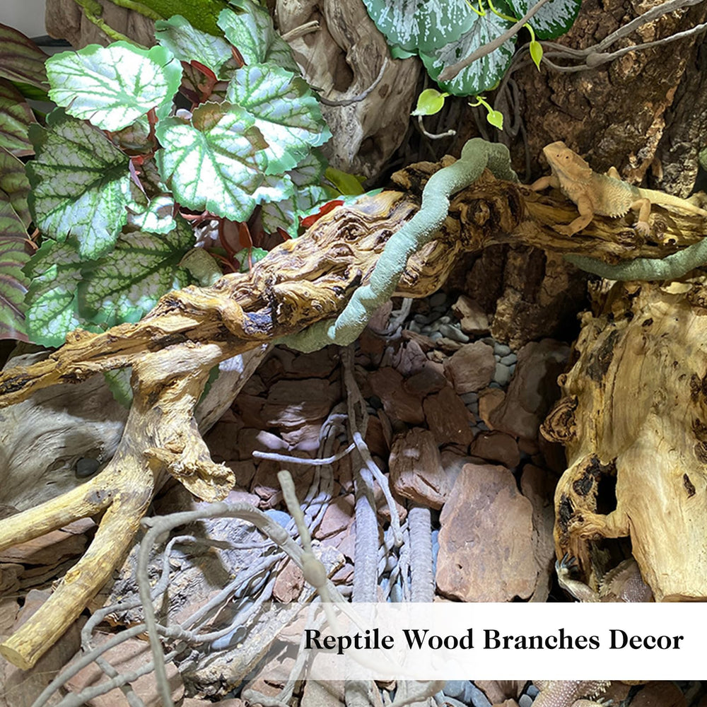 VCEPJH bearded dragon-friendly branch supports daytime activity and play.