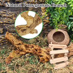 VCEPJH climbing-area branch arrangement encourages exploration and activity.