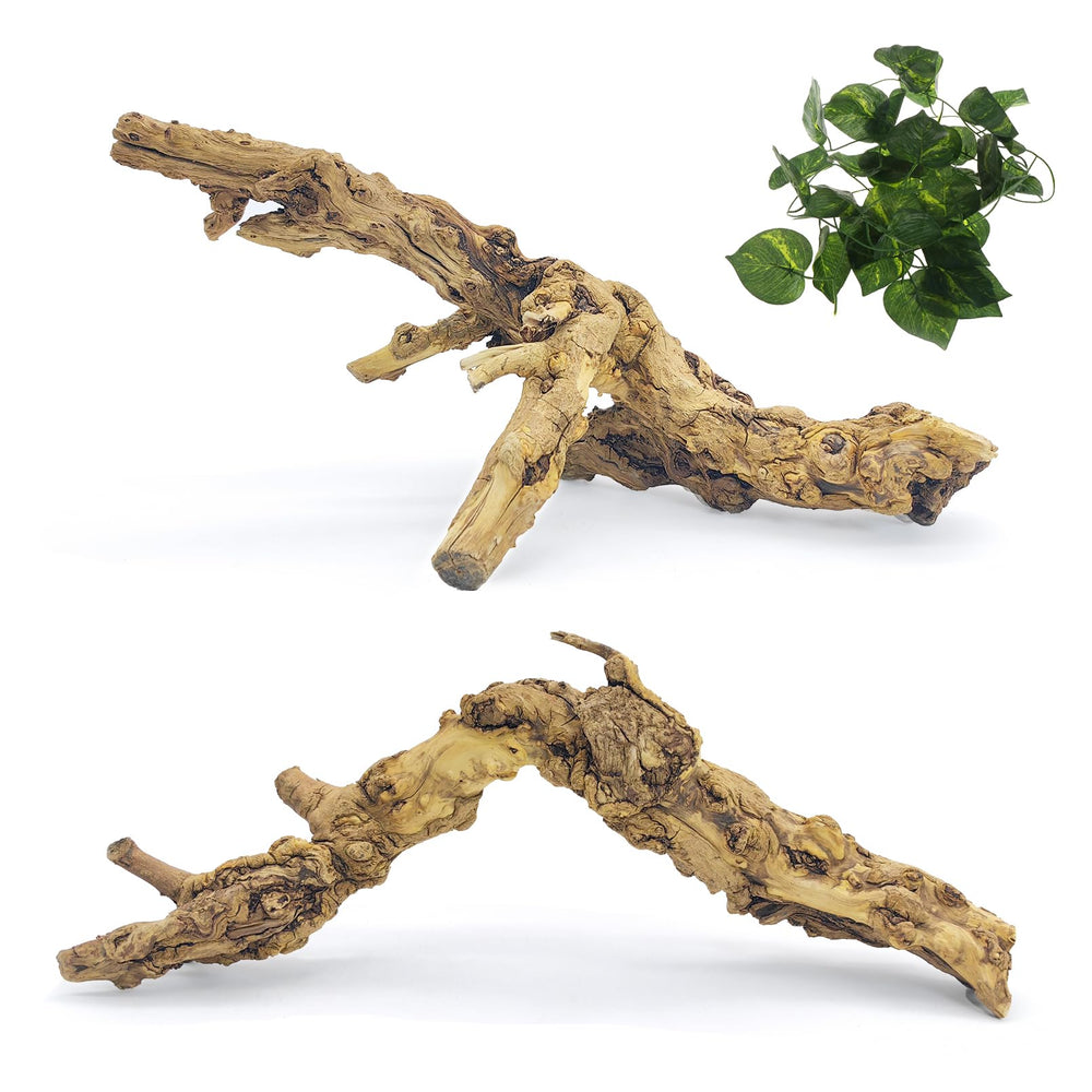 VCEPJH natural wood reptile branch close-up grain for a realistic terrarium texture.