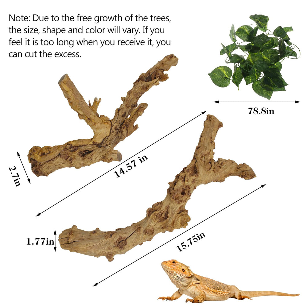 VCEPJH reptile-branch decor enhances habitat realism inside the enclosure.
