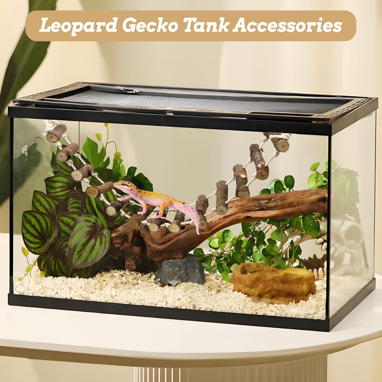 VCEPJH climbing ladder installed in tank to support safe exploration and balance.