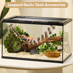 VCEPJH climbing ladder installed in tank to support safe exploration and balance.