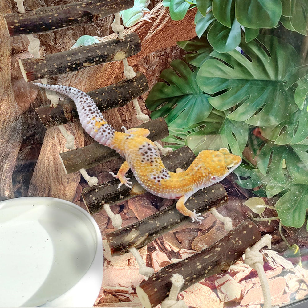 VCEPJH decorative reptile bridge accessory enhancing tank aesthetics and enrichment.