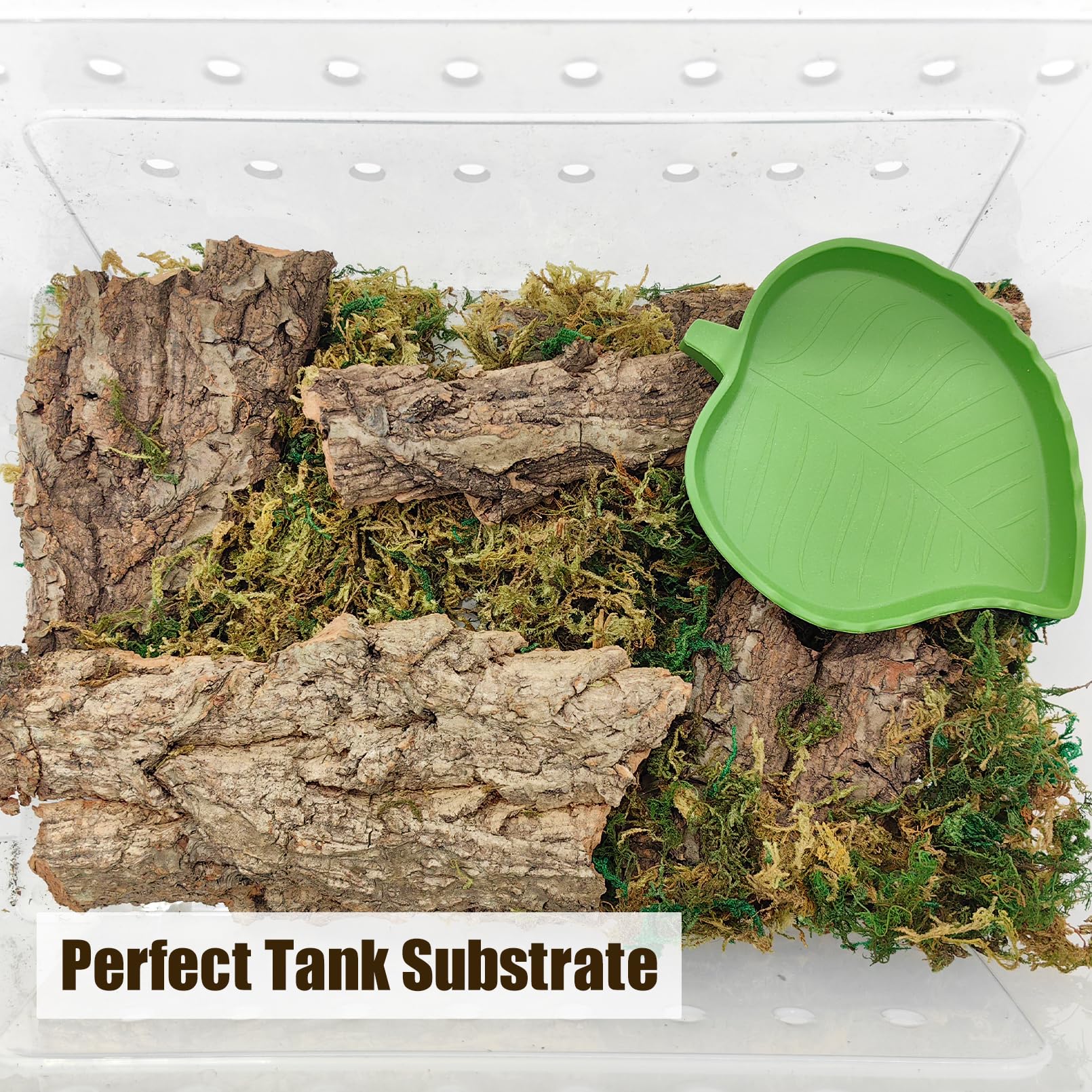 VCEPJH cork bark provides climbing opportunities for reptiles in terrarium.