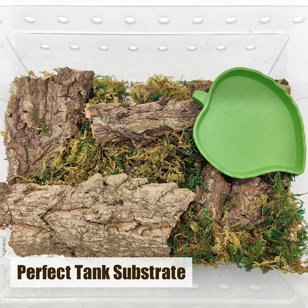 VCEPJH cork bark provides climbing opportunities for reptiles in terrarium.