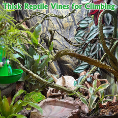 VCEPJH dark green textured reptile vine resembles natural bark for habitats
