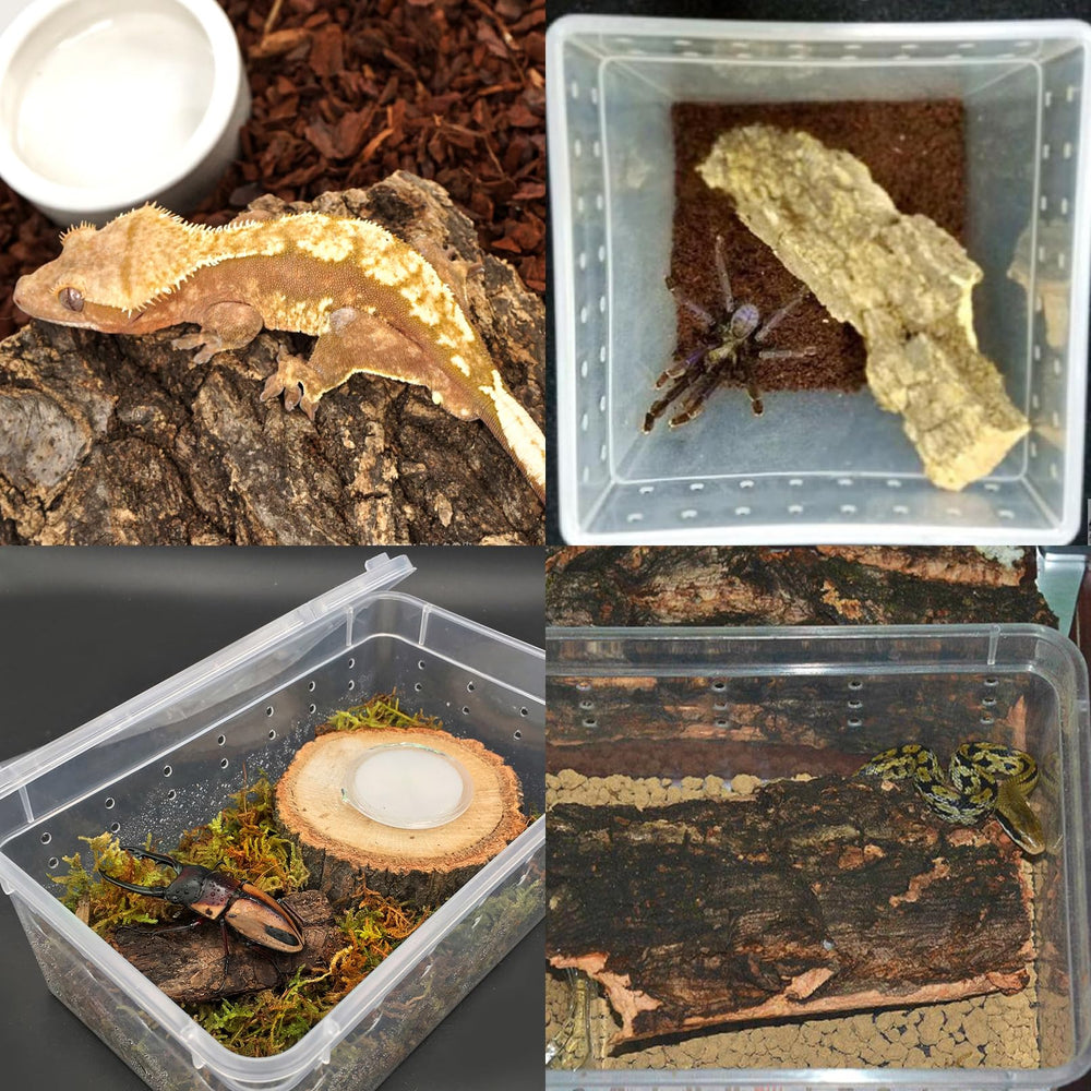 VCEPJH cork bark suitable for most reptiles, including snakes and lizards