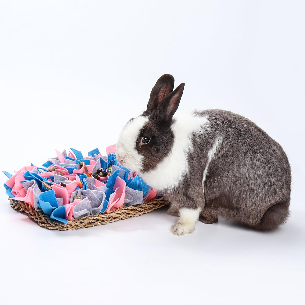 VCZONE for small animals snuffle bed mat supports mental activity and daily play