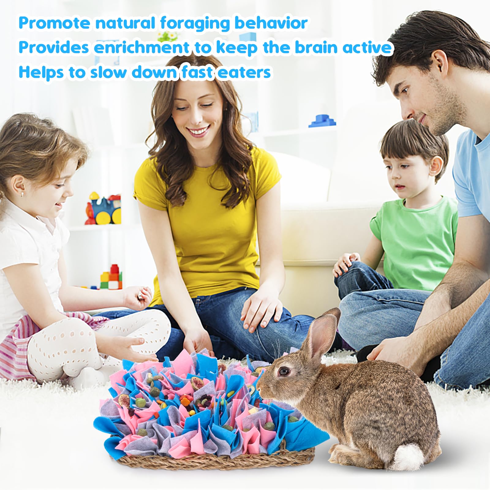VCZONE small pets enrichment session on a snuffle mat for active play