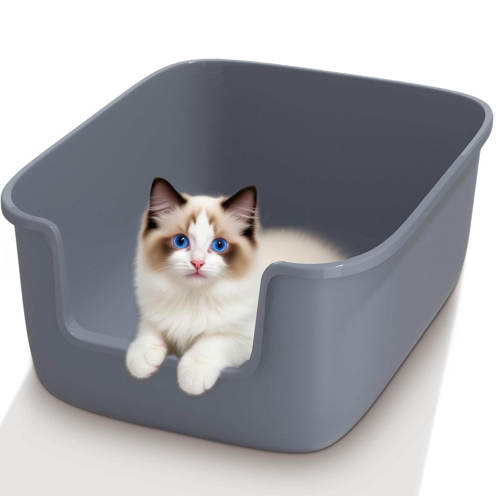Vealind large cat litter box top view showing roomy interior for easy turning