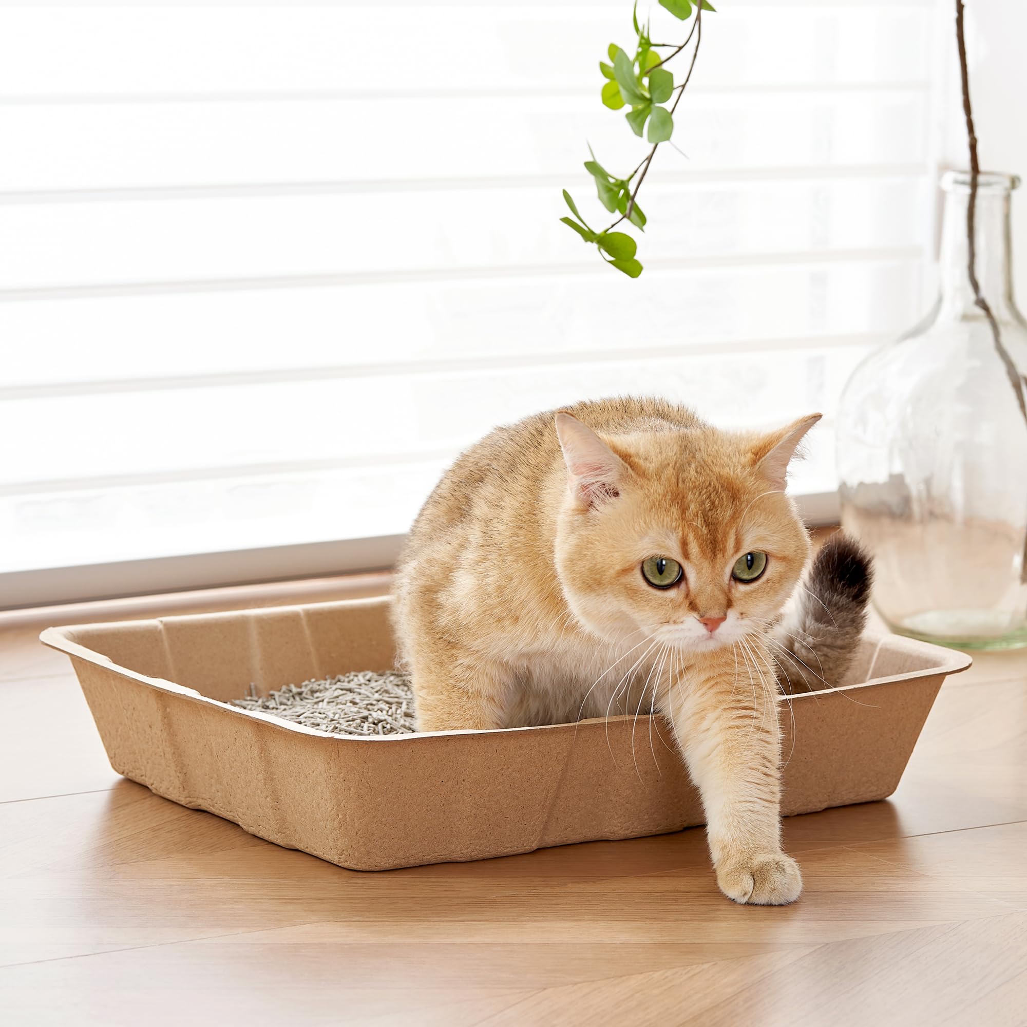 Vealind leak-proof litter tray with waterproof coating for mess containment.