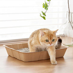 Vealind leak-proof litter tray with waterproof coating for mess containment.