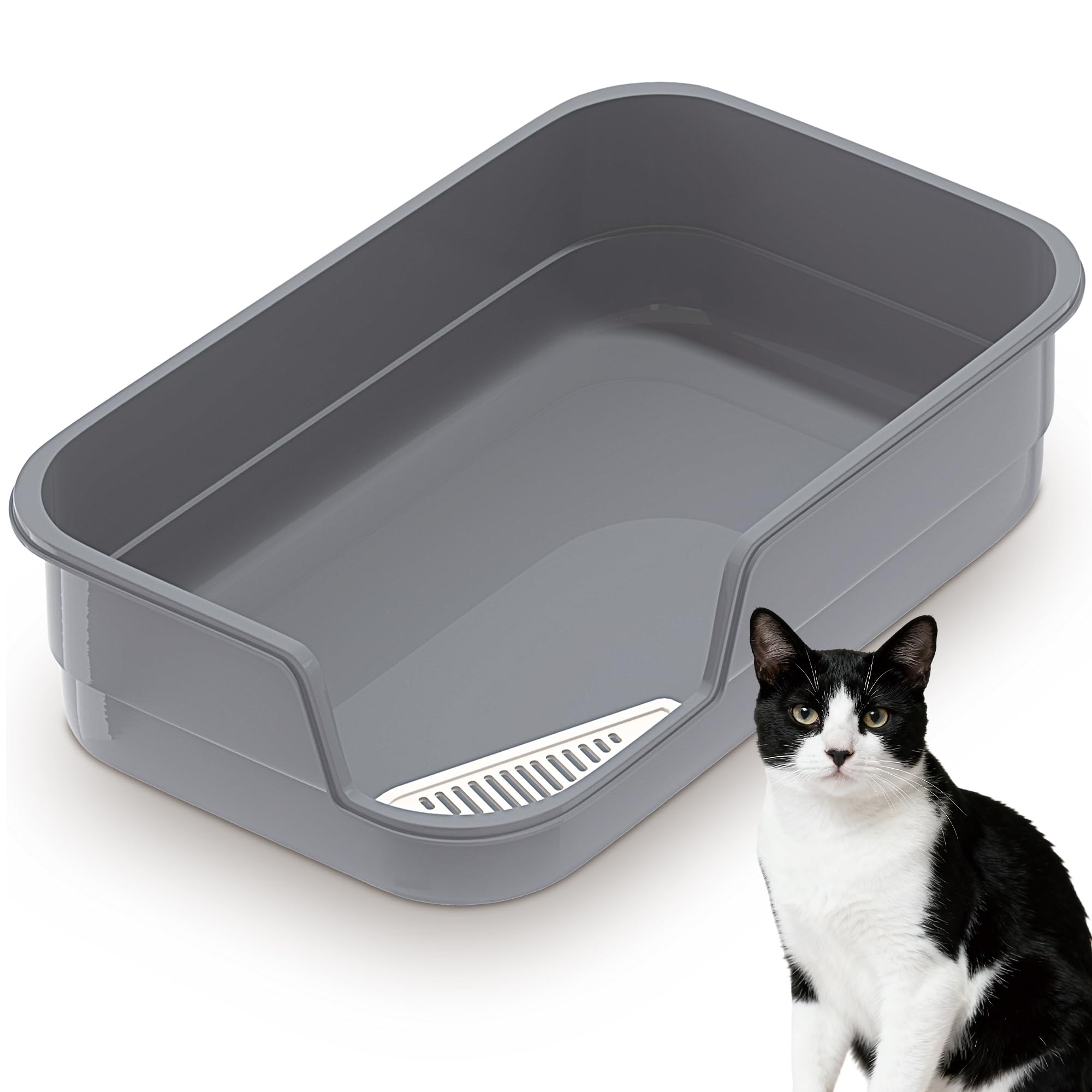 Vealind XL cat litter box front view with spacious interior for big cats