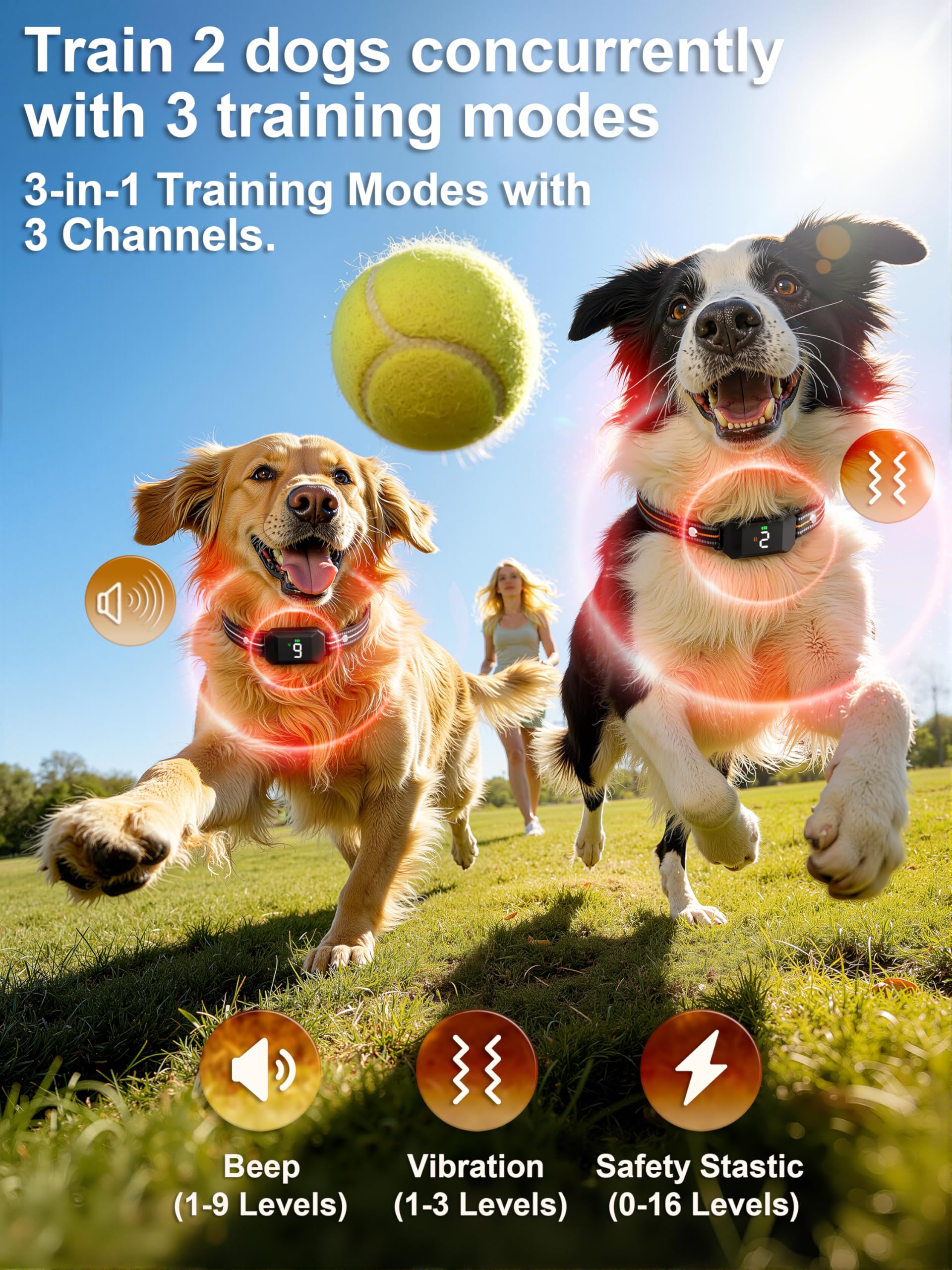 Veconix 3-channel remote for independent dog training.