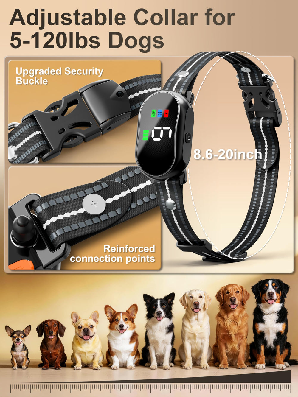 Veconix fast charging remote and collar, training ready quickly.