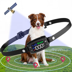 Veconix GPS dog fence collar in action showing outdoor containment