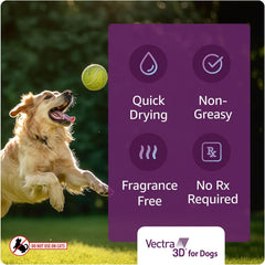Rounded application tip shown for easy, precise large-dog skin application.