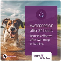 Dog during application with Vectra 3D applied to the skin for even coverage.