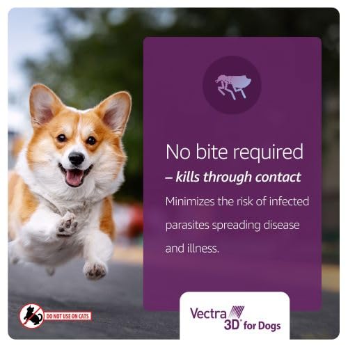 Vectra 3D waterproof after 24 hours ensures protection even after baths or wet conditions.