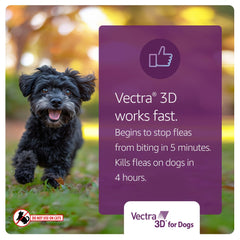 Vectra 3D kills fleas within four hours after application.