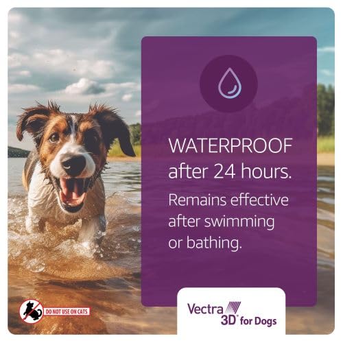 Vectra 3D monthly treatment for dogs weighing 21–55 pounds.