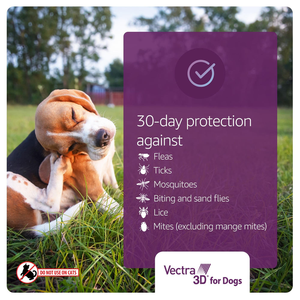 Vectra 3D topical application on a dog's coat provides quick protection.