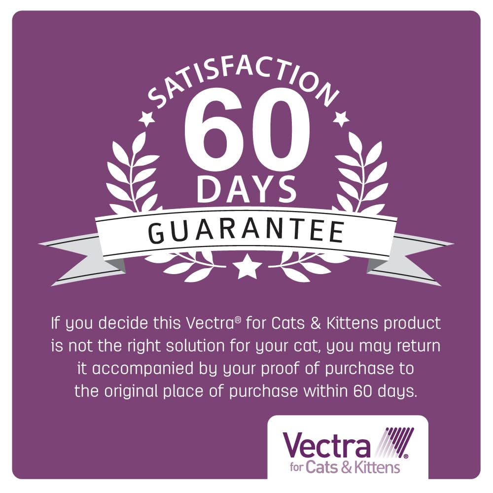 Vectra Small Cat 3-month supply pack for ongoing protection.