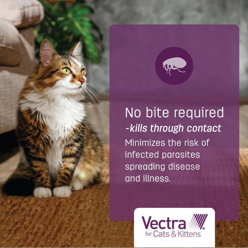 Vectra Small Cat breaks the flea life cycle by stopping development.