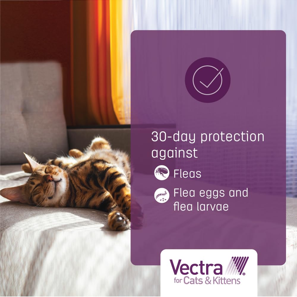 Vectra Small Cat indoor-outdoor-use demonstrates versatile protection.