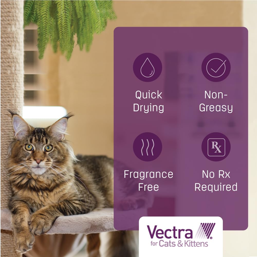 Vectra Small Cat suitable for indoor and outdoor cats.