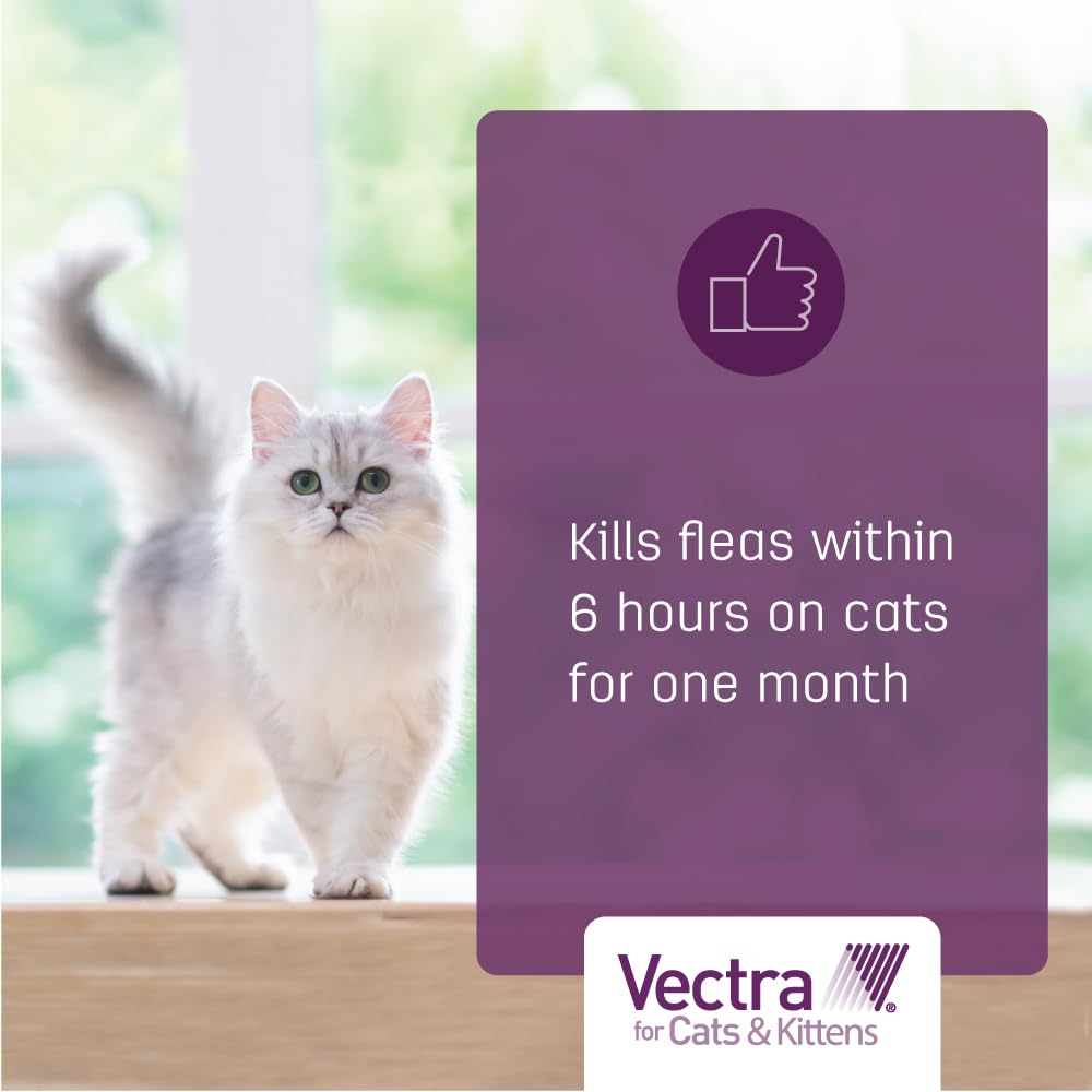 Vectra Small Cat kills fleas on contact, no biting needed.