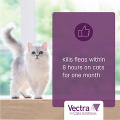 Vectra Small Cat kills fleas on contact, no biting needed.