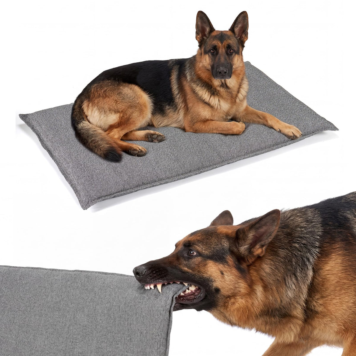 Veehoo chew-proof crate pad close-up highlights tear-resistant fabric and reinforced corners.