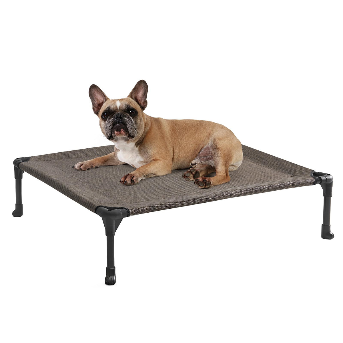 Veehoo cooling elevated dog bed assembled, ready for indoor use and setup