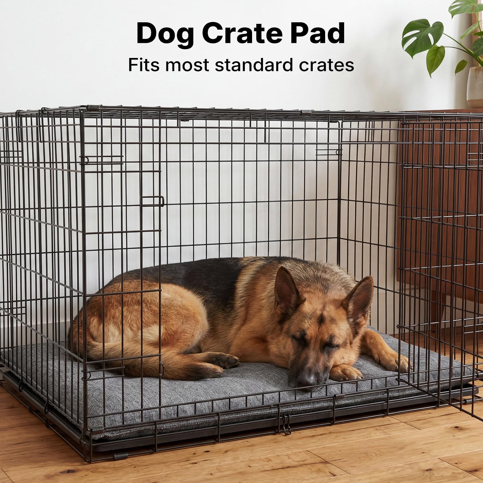 Veehoo crate pad fits standard crates for easy crate transformation.