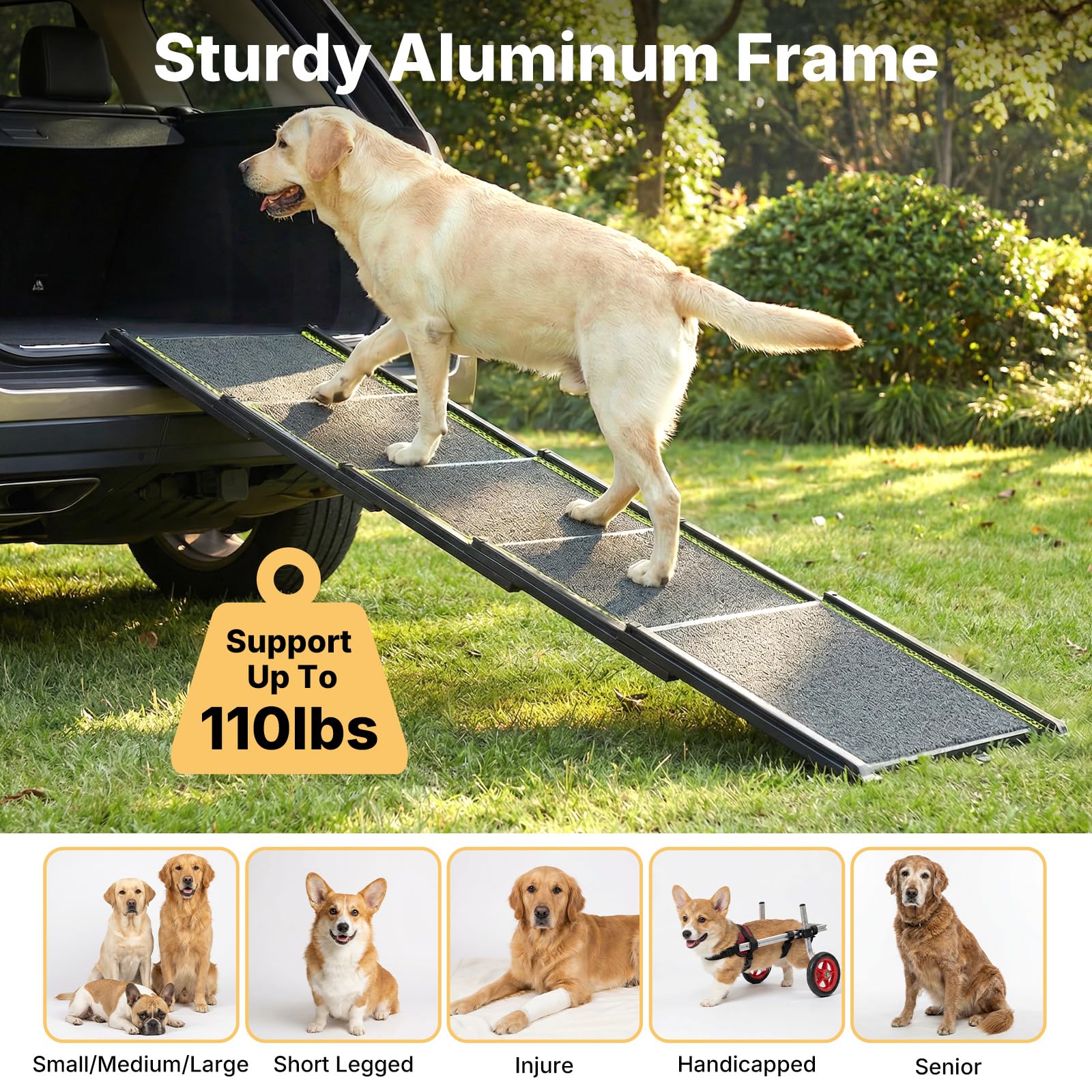 Veehoo anti-slip feet keep the ramp stable on wet surfaces.