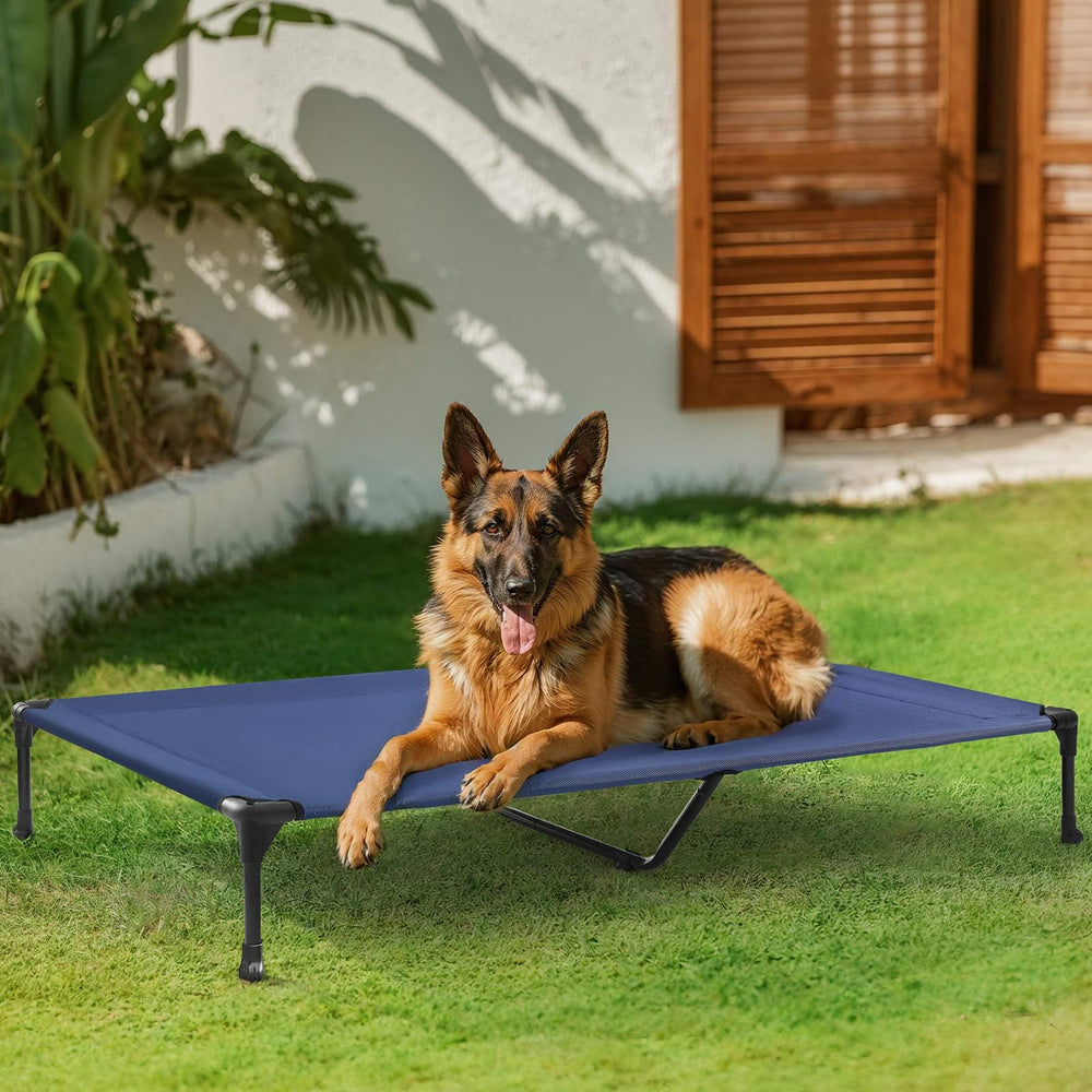Veehoo elevated bed demonstrates ground clearance to minimize moisture exposure.