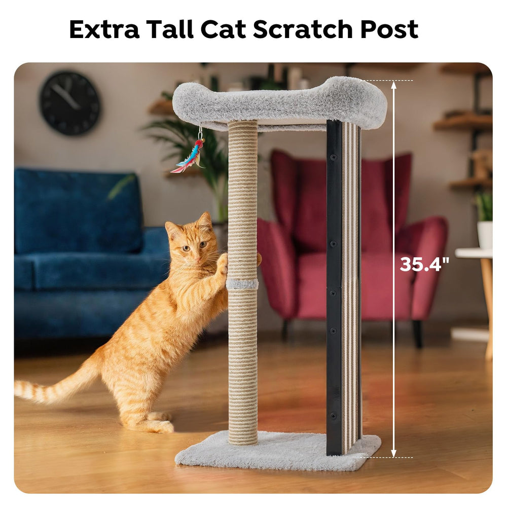 Veehoo cat scratching board with durable metal frame